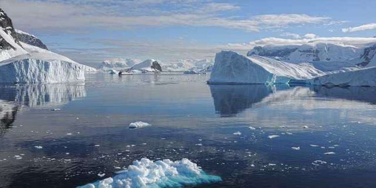 The study reveals: Antarctic microbes that eat fuel could help clean plastics