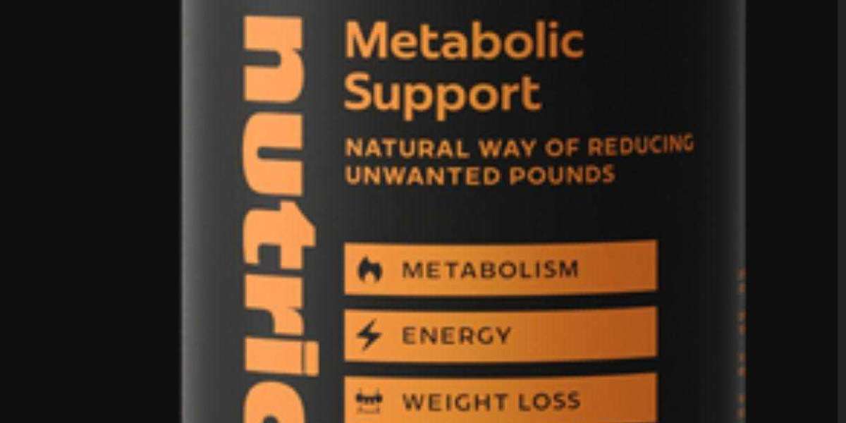 Latin America Insulin Market Size, Share and Forecast Analysis to 2030