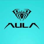 Aula India