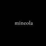 Mineola Real Estate LLC